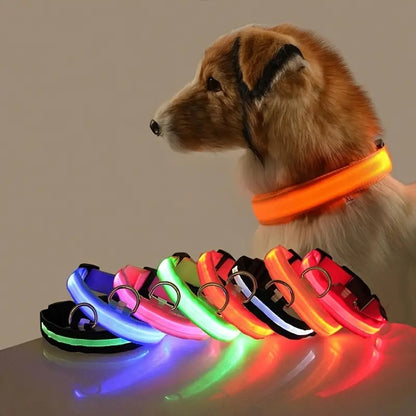 Glow-in-the-Dark Pet Collar for Safety & Visibility