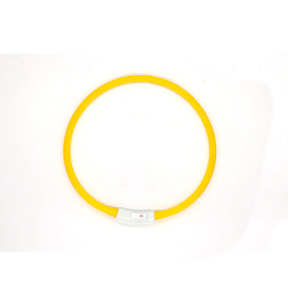 LED Fashion Dog Collar